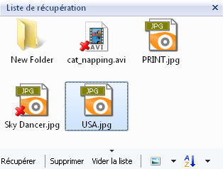La barre d'outils Liste de récupération vous aide à sélectionner tous les fichiers supprimés nécessaires avant de les récupérer