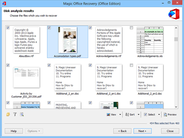 After disk analysis the program will show the results with thumbnail-sized previews