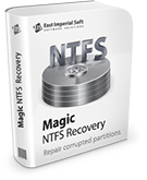 Magic NTFS Recovery