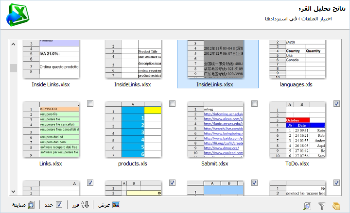 Magic Excel Recovery 4.6 instal the last version for windows