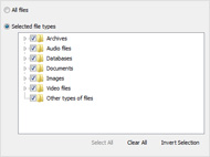 Restores files removed without use of a Recycle Bin