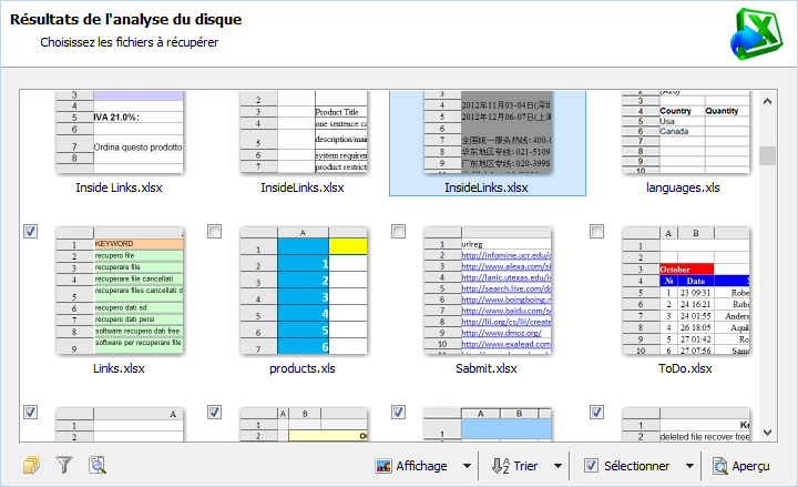 Magic Excel Recovery: galeries de vignettes