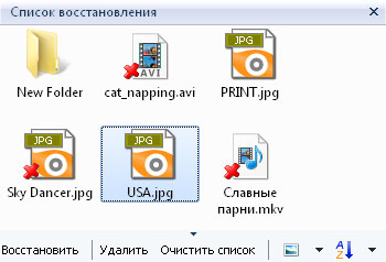 Панель списка восстановления предназначена для того, чтобы вы отобрали все необходимые удаленные файлы перед их восстановлением