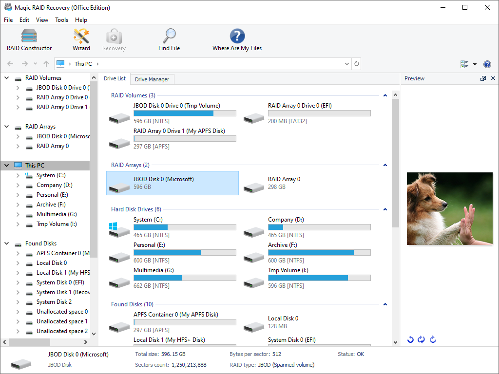 Recover data from corrupted storage arrays in a wide range of NAS, DAS and RAID solutions with Magic RAID Recovery