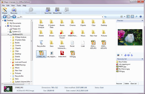 After analysis is complete, the program will display a list of folders located on the selected disk