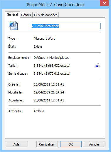 Utiliser Magic Word Recovery: Propriétés du fichier