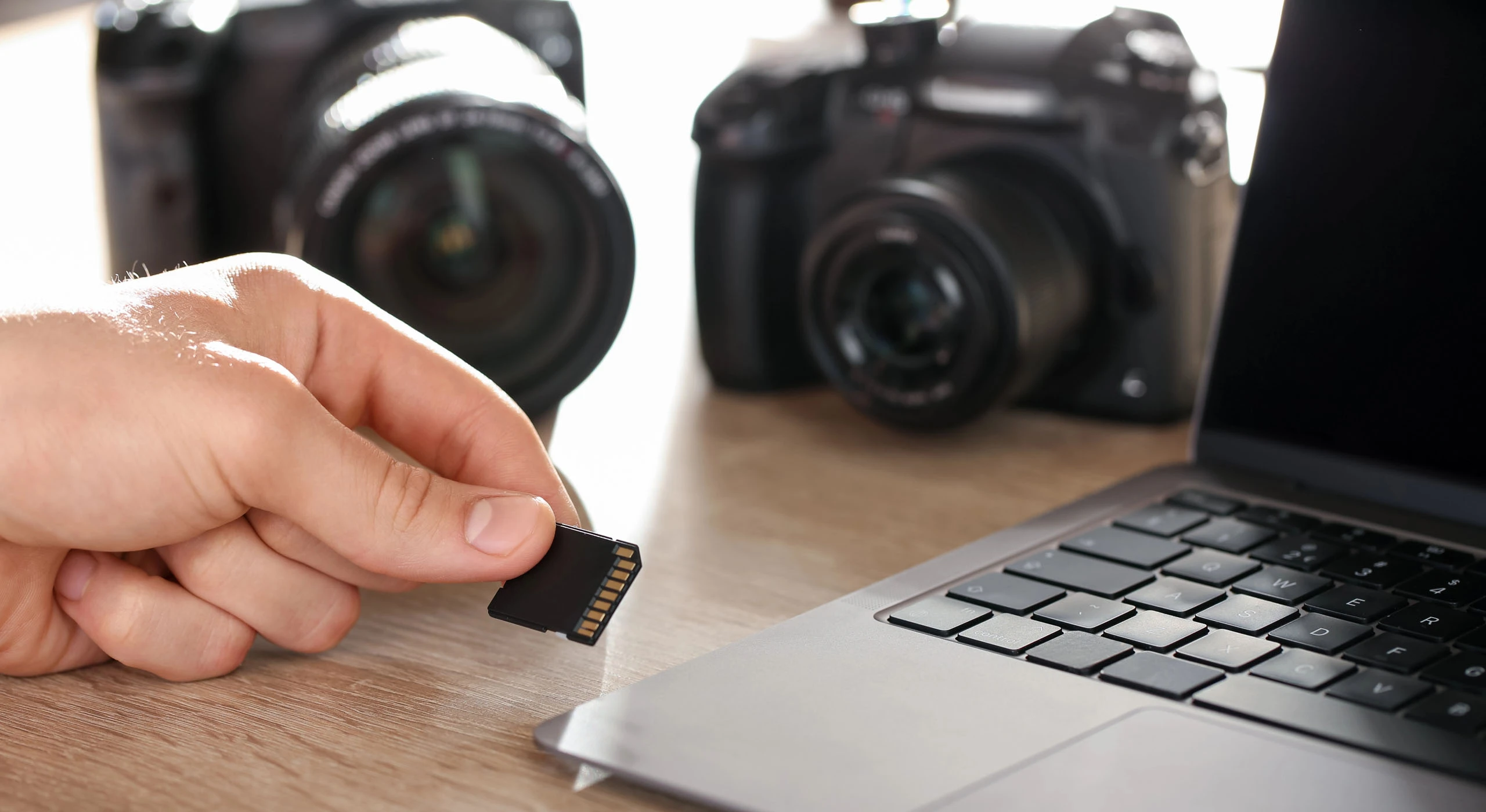 Recovering digital pictures made easy