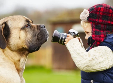 Recupero Foto Digitali in un Colpo d'Occhio