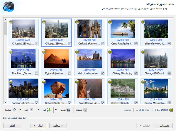 يتم عرض جميع الصور التي تم العثور عليها في قائمة المعاينة. حدد الملفات لاستعادتها