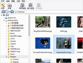 Explorer 类似的浏览体验,可即时预览