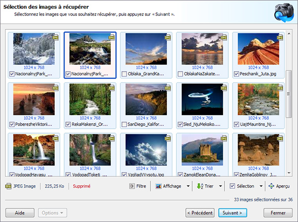 Toutes les images trouvées sont affichées dans la liste d'aperçu. Sélectionnez les fichiers à restaurer