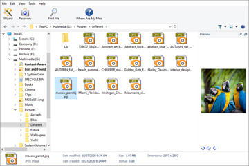 Software de recuperación de datos para sistemas de archivos Linux y Unix
