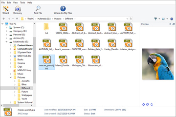 Recupera file cancellati da partizioni macOS
